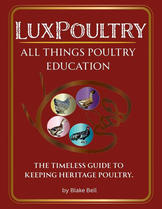 Luxpoultry Beginnings,  Heritage Poultry Guide