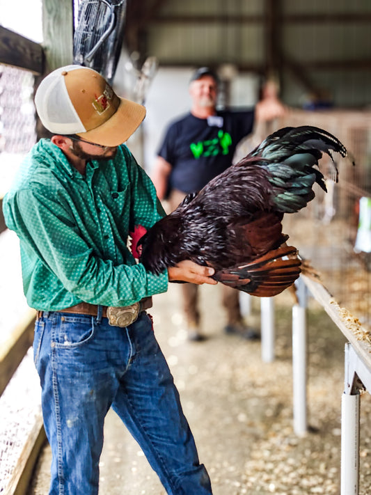 Farm visit