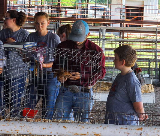 Farm visit